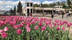 Выходной день ждёт ставропольцев на Радоницу