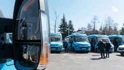 ГИБДД проводит рейд по автобусам на дорогах Ставрополя