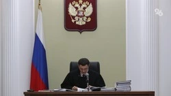 Приговор убийцам аниматоров на Кубани пересмотрят лишь при весомых нарушениях