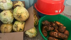 Гнилые овощи и фрукты обнаружили на складе школы Труновского округа