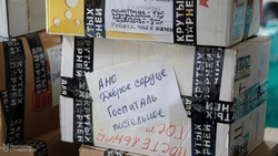 Ставропольская молодёжь собрала 7,5 тонн посылок для бойцов СВО