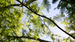 Почти 70 млн га земли в России подвержены эрозии — губернатор Ставрополья