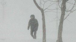 Из-за обильных снегопадов и шквалистого ветра в Изобильненском округе отменили организованные перевозки детей