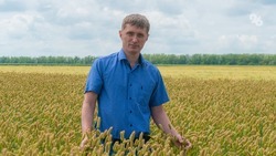 Создание семеноводческого центра на Ставрополье позволит свести импортозависимость к минимуму — эксперт