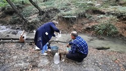 Специалисты минприроды не нашли пены на Холодных родниках в Ставрополе
