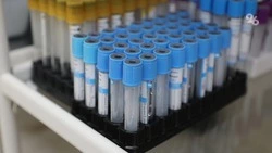 Специалисты минприроды не выявили загрязнения воздуха в Шпаковском округе