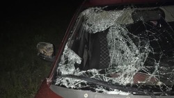 На ночной трассе в Грачёвском округе автомобилист сбил подростка 