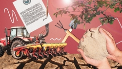 Не распахивать пастбища и сажать леса: как остановить опустынивание земель в Ставропольском крае