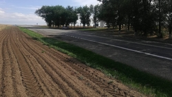 Около 650 населённых пунктов Ставрополья защитят от пожаров минерализованными полосами 