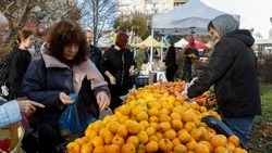 Ярмарки выходного дня пройдут в Ставрополе 28 и 29 марта
