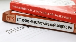 Глава СКР поручил доложить о расследовании гибели младенца на Ставрополье