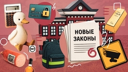 Отказ от спама, наказания для вандалов и игрушки по ГОСТу: что нового принесут ставропольцам законодательные инициативы августа