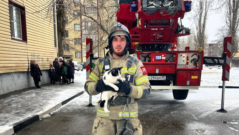 В Грозном сотрудники МЧС спасли кошку, сутки просидевшую на крыше пятиэтажки