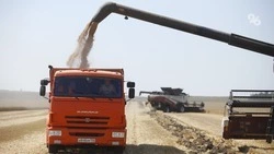 Политолог: Глава Ставрополья помогает сделать доступнее льготный агролизинг 