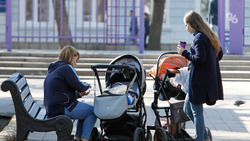 Около пяти тысяч будущих мам получили президентские выплаты на Ставрополье