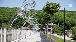 Охранник, проявивший агрессию к зверьку на Комсомольском пруду в Ставрополе, лишился работы