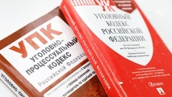 Дроппер из Тольятти ответит за мошенников, укравших у жителя Пятигорска 170 тыс.