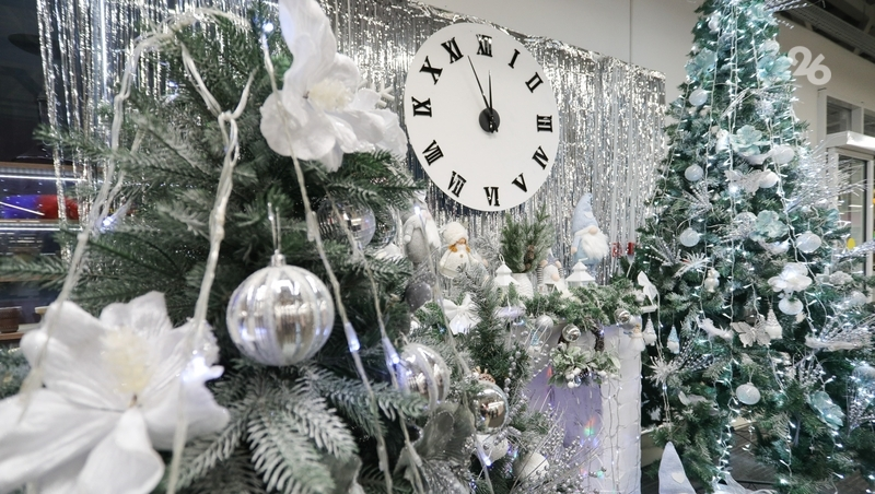 Каждый четвёртый ставрополец мечтает получить деньги в подарок на Новый год