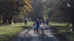 Депутаты Ставрополья расширили поддержку одиноких родителей и многодетных семей