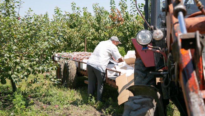 В Минсельхоз РФ направлена инициатива о поддержке садоводов страны 