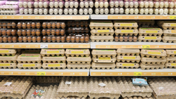 Минэк Ставрополья опроверг слухи о дефиците яиц