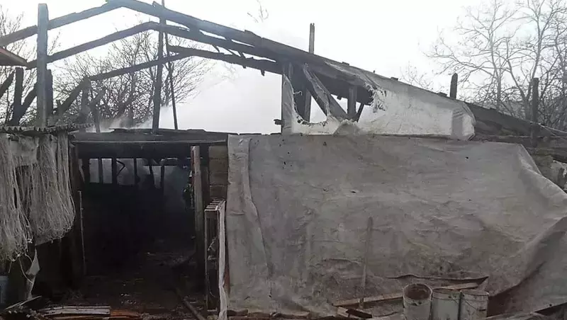 Шесть коров и 15 свиней спасли из горящего хлева в селе Грачёвского округа
