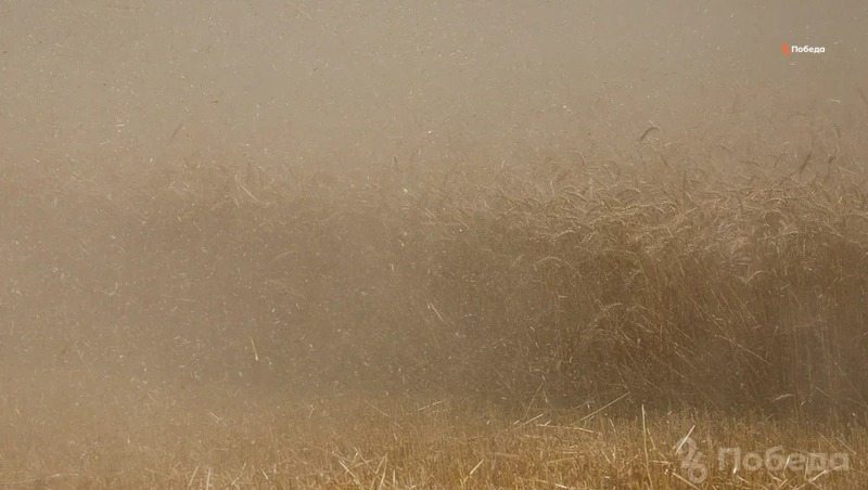 Проливной дождь и пылевая буря настигли Левокумский округ
