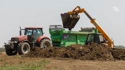 Аграрии Ставрополья получат господдержку на развитие селекций и скотоводства