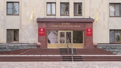 Депутаты думы Ставрополья приняли 25 законов за первый квартал 2022 года