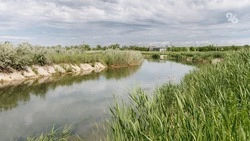 Берегоукрепление рек Кумы и Кубани проведут на Ставрополье