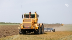 Более 640 тыс. га полей засеяли аграрии на Ставрополье