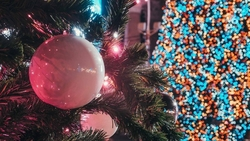 В Грозном на Новый год устанавливают одну из самых больших ёлок в России 