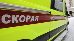 Проект участницы «Героев Ставрополья» помог снизить нагрузку на скорую в крае