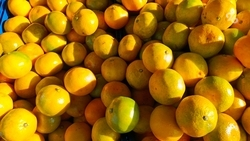 В Роспотребнадзоре назвали продукты, улучшающие настроение