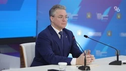 Губернатор Владимиров поблагодарил полицию за поимку дебоширов в Ставрополе