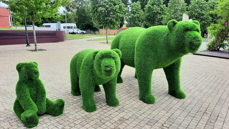 Топиарные медведи вновь появились в сквере Ставрополя после реконструкции