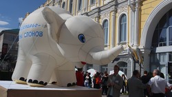 Экскурсии, пластилиновые пейзажи и фотосессии со слонами: в Ставрополе готовятся отметить День города и края