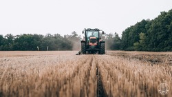 Новое удобрение из торфа позволит увеличить урожай пшеницы до 12% на Ставрополье