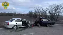 Прокуратура начала проверку после ДТП с двумя погибшими на Ставрополье