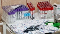 Вакцинация от гриппа стартует на Ставрополье в конце сентября 