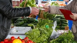 Более 450 ярмарок «Овощи к подъезду» проводят на Ставрополье
