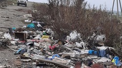 Двухметровые горы мусора нашли в Благодарненском округе