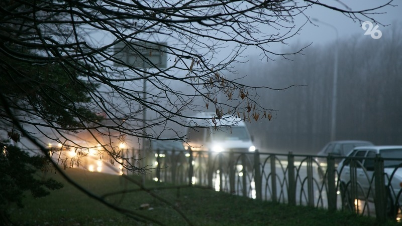 Буря повалила 15 деревьев, повредила два автомобиля и крышу школы на Ставрополье