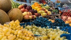 Межрегиональная продуктовая выставка-ярмарка «Раздолье Ставрополья — 2022» пройдёт осенью