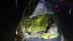 Женщина пострадала при столкновении легковушки с лошадью на Ставрополье