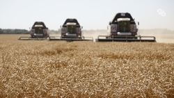 Льготные кредиты снова начнут предоставлять аграриям Ставрополья с октября