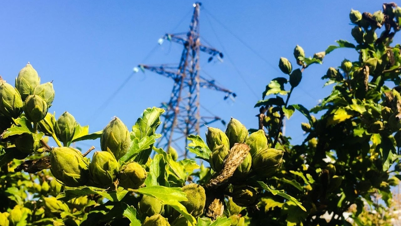 Контроль за работой энергообъектов усилили на Ставрополье из-за жары