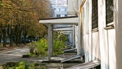 Для создания огорода во дворе общего дома россиянам требуется согласие соседей