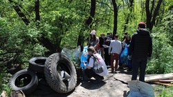 Участники «Чистых игр» в Ставрополе собрали более трёх тонн мусора