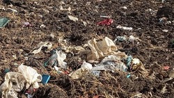 Свалку мусора на сельхозугодьях площадью около 2,4 га ликвидировали на Ставрополье